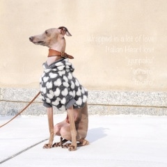 �����ä�������ΰ�����ޤ�ơå����ꥢ���ϡ��ȥ˥åȡ����٤룳���顼�ʽ���/����/ƾ����