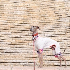 ýդͽå㡼åŤȥ졼ʡ٤룳סߣ顼