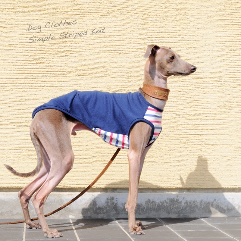 シンプルボーダーの犬の服 000000000063.jpg