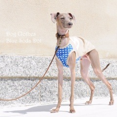 �����å֥롼���������ɥåȡ����٤룳�����סߣ����顼�ʥ١�����/���쥤/�ͥ��ӡ���