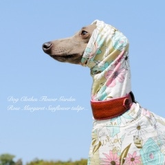 ������Flower Garden�����٤룳�����סߣ����顼�ʥ١�����/�ѡ��ץ�/�ͥ��ӡ���