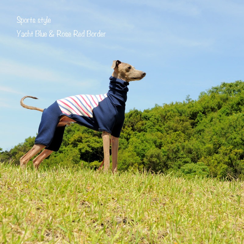 犬服｜ヨットブルー＆ローズレッドボーダー「スポーツスタイル