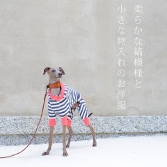 �����ý��餫�ʼ����ͤȾ�����ʪ����Τ����������٤룳�����סߣ����顼�ʰ��㿧/����/���Ŀ���