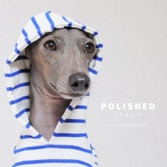 �������������줿�����ꥢ������ܡ������˥åȡ����٤룳�����סߣ����顼��Moon/Ocean/Night��