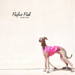 ������Perfect Pink�å����ꥢ������˥åȥץ��ȡ����٤룴������