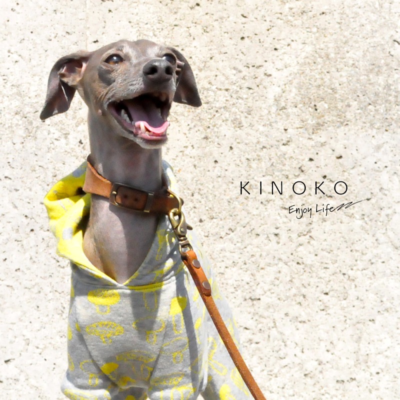 犬服｜KINOKO｜ジャガードニット｜選べる4タイプ×3カラー（Yellow