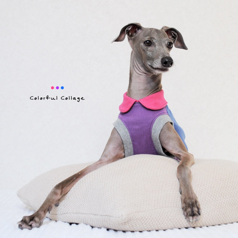 ������Colorful Collage�����٤룴�����ס߼�ͳ�����٤��ۿ��ʥԥ󥯡ߥѡ��ץ�ߥ֥롼�ˡִݶߥ������ޥ�����ǽ��