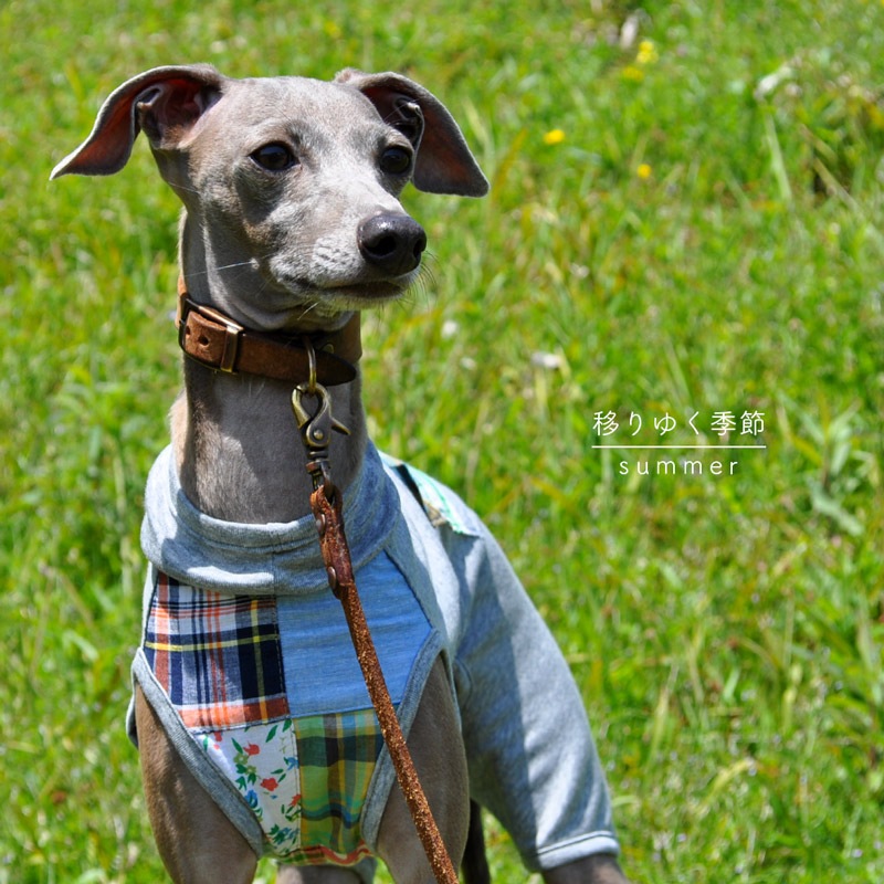 ðܤ椯 -summer-åѥå  ܿ䴶ޡ٥饹٤룴סߣ顼