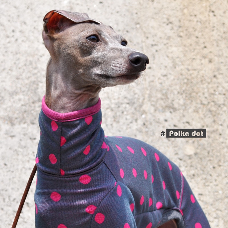 犬服 ハンドメイド パステルカラー イエロー シャーリングブラウス 犬服 ハンドメイド パステルカラー イエロー シャーリングブラウス