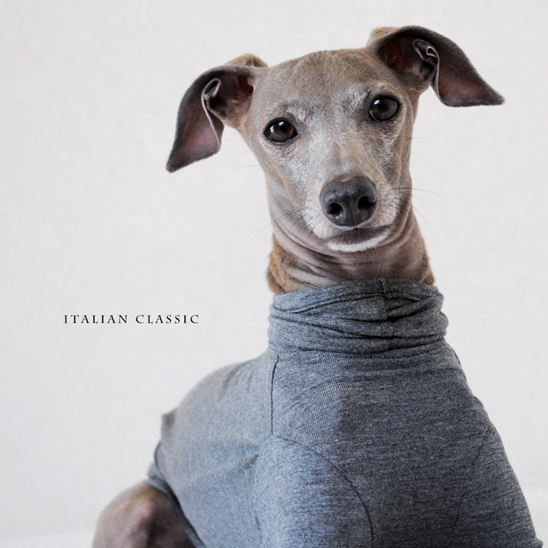 ������Italian Classic�å����ꥢ�����ȥ�å�ŷ���˥åȡ����٤룴�����סߣ����顼��Blue/Gray/Yellow/Purple��