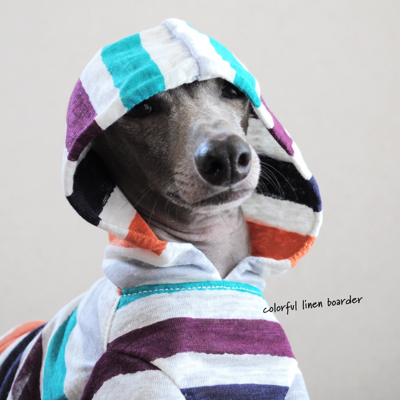 犬服｜カラフルなリネンボーダー｜選べる4タイプ｜犬服一覧｜犬服・犬