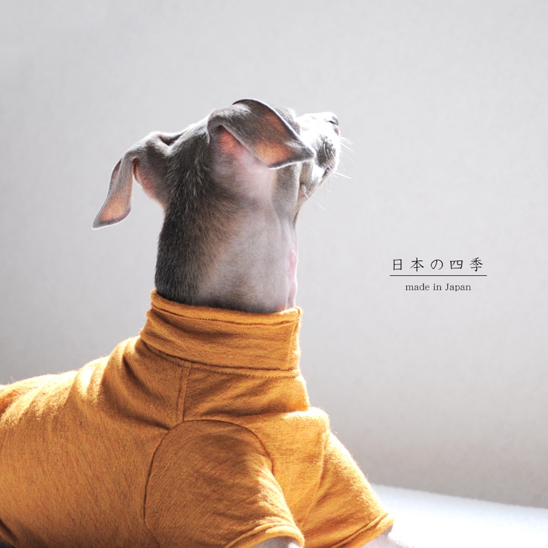 ���������ܤλ͵���������������100%ŷ���˥åȡ����٤룳�����סߣ����顼�������ʤ��ߤ줤����/���ῧ�ʤ��Ϥ�������/�����ʤ����ͤ����ˡ�