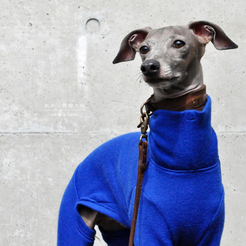 犬服｜私からの贈り物｜日本製メリノウールリバーニット｜選べる4