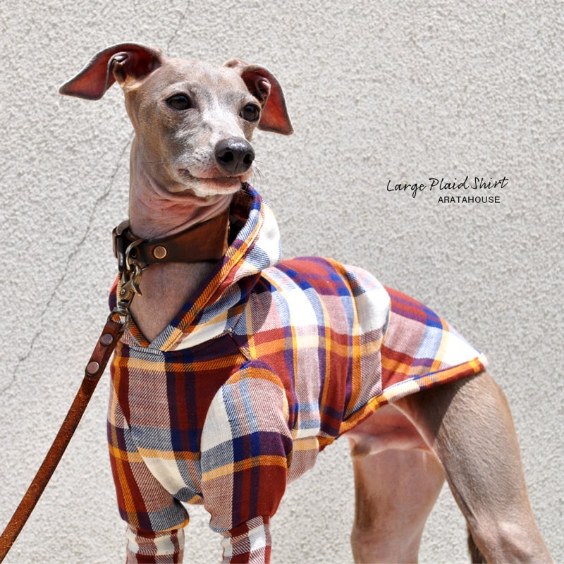 犬服　魁花　ご確認 000000000185.jpg