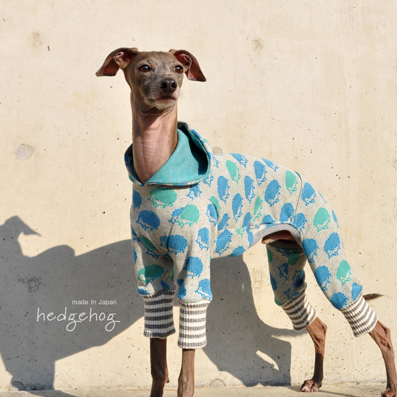 �����åϥ�ͥ��ߡ����������㥬���ɥ˥åȡ����٤룴������