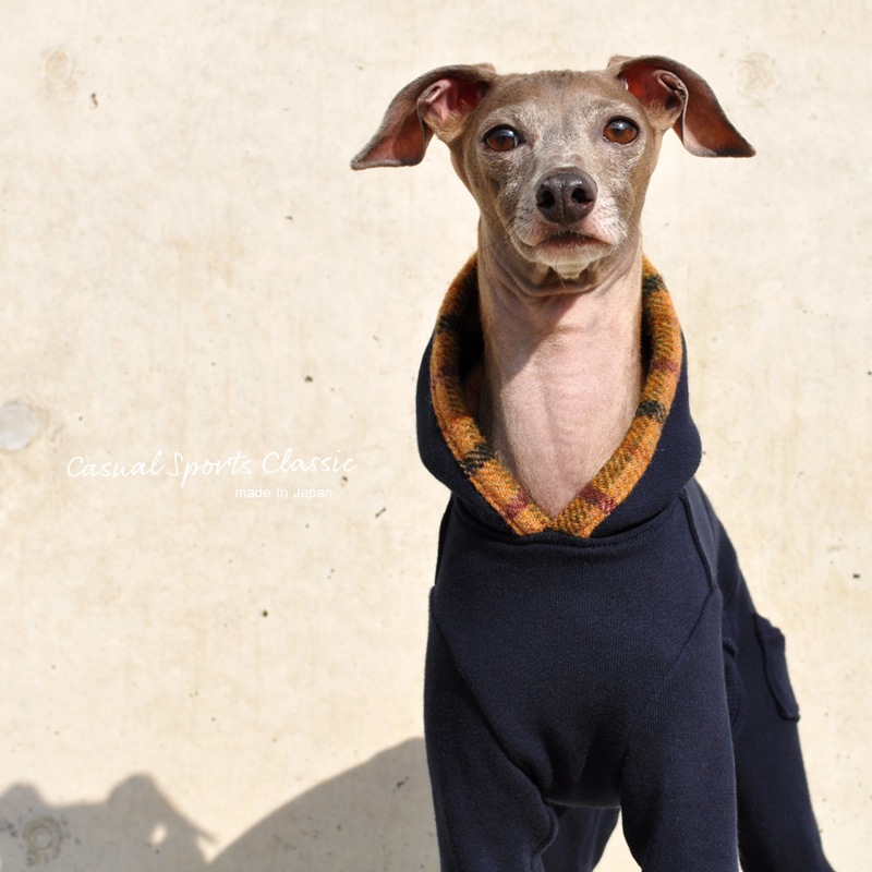 犬服｜Casual Sports Classic｜選べる4タイプ+ポケット付き｜犬