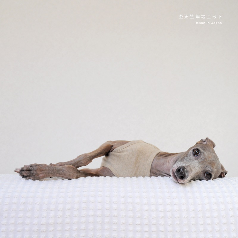 ŷ̵ϥ˥åȡ٤룴סߣ顼ʥ١/쥤/ͥӡ