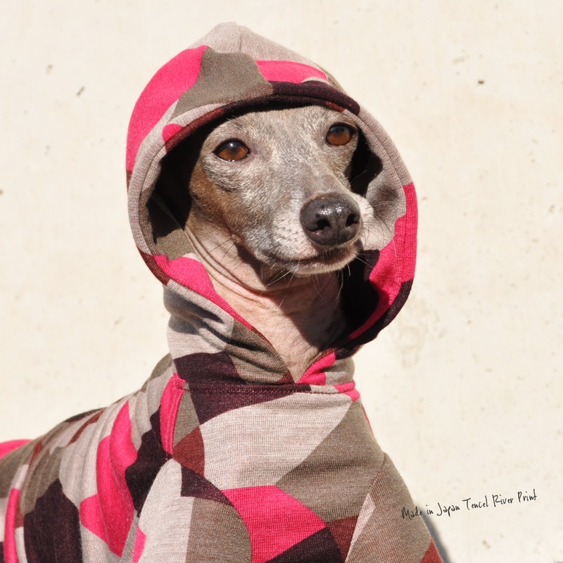犬服｜日本製テンセルリバープリント｜選べる4タイプ×3カラー