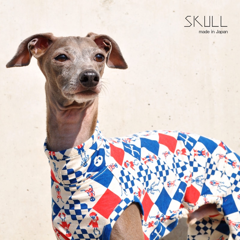 犬服｜スカル（どくろ）｜日本製ニットプリント｜選べる4タイプ