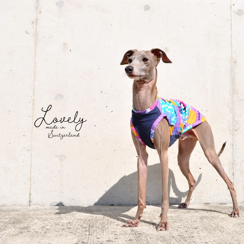 犬服｜Lovely｜スイス製サッカープリント（しじら織り）｜選べる