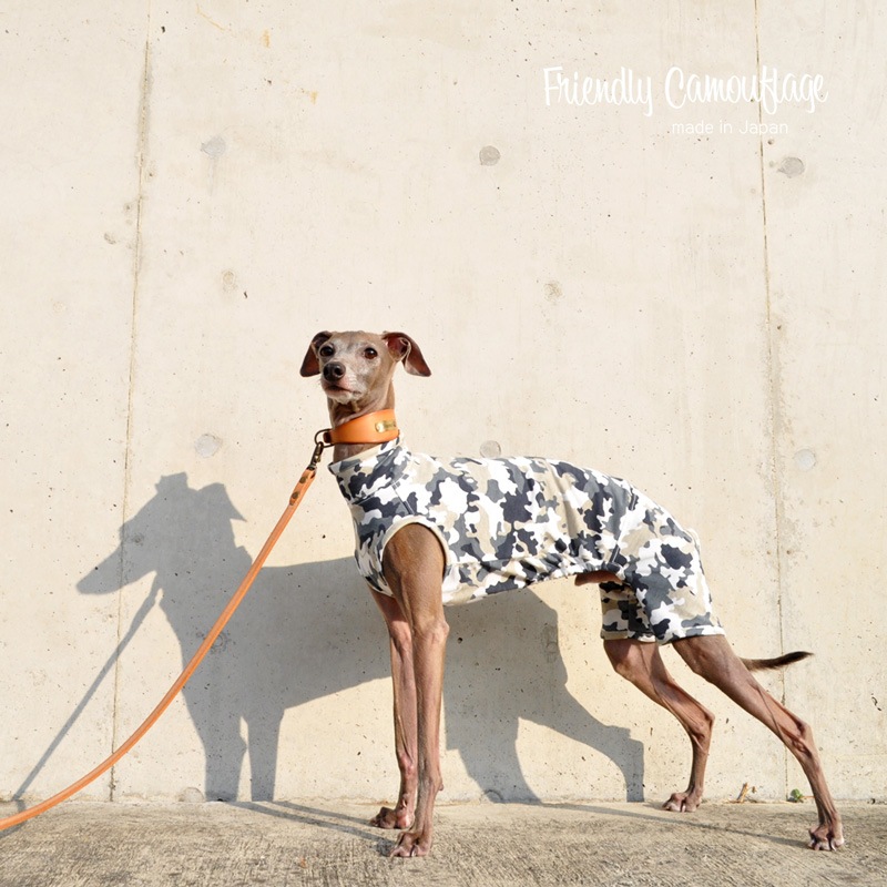 ������Friendly Camouflage��������ŷ���º̡����٤룴������