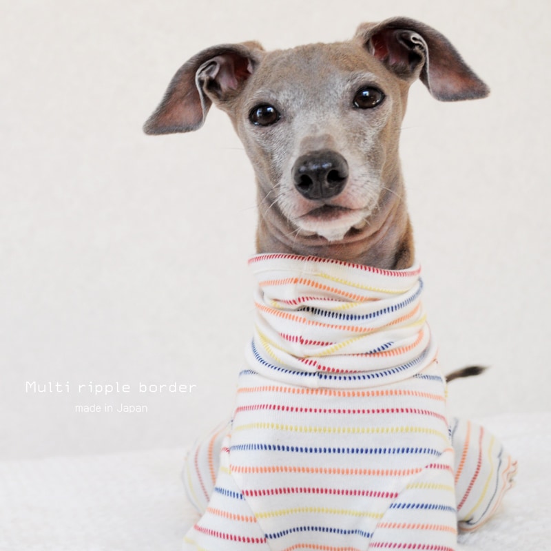 �����������ޥ����åץ�ܡ�����ŷ���˥åȡ����٤룴������