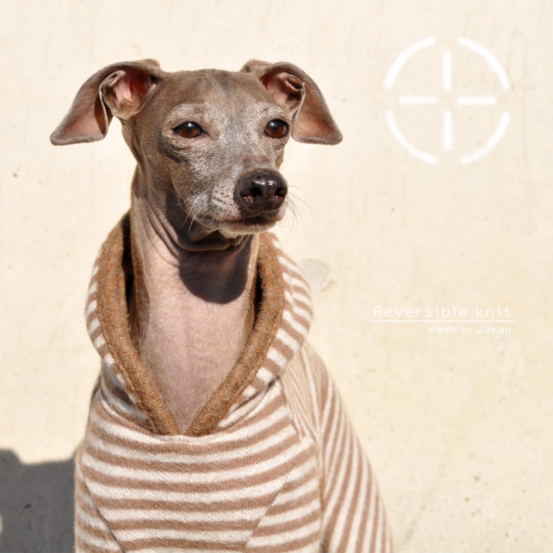 ��������������С����֥�˥åȡåܡ�������̵�ϡ����٤룴�����סߣ����顼�ʥ֥饦��/���쥤��