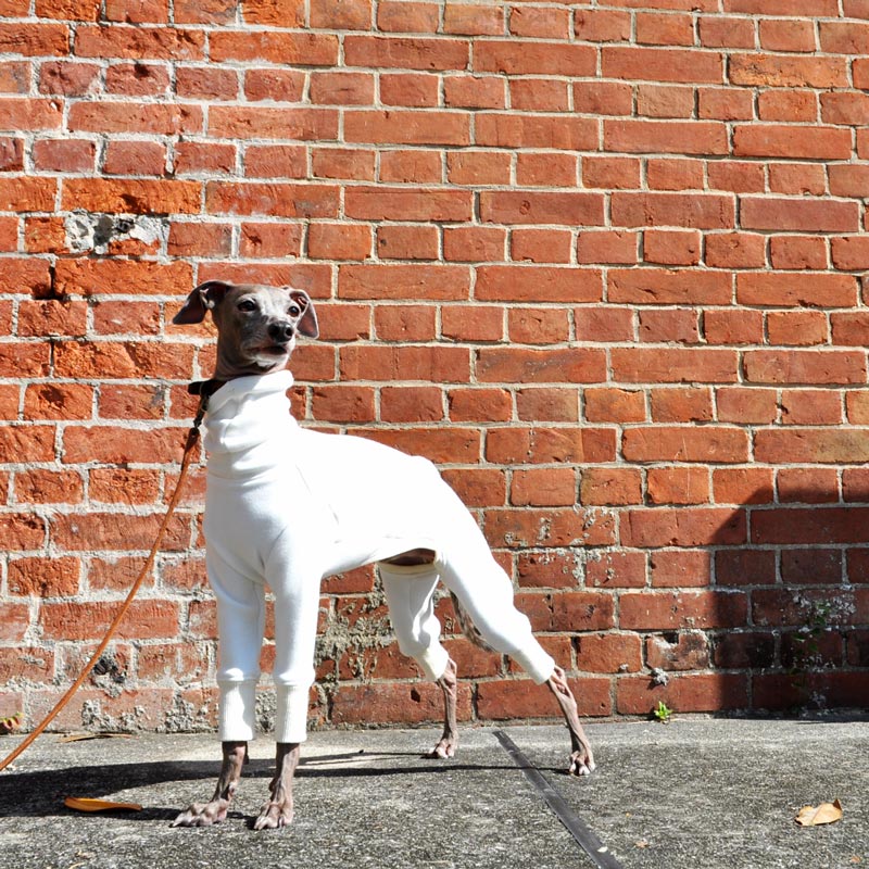 ÷ڤƽ餫Ȥ΢ӥࡼȥ󥸥㡼ݲˡ٤룴סߣ顼ʥۥ磻/ݥ쥤/ǥ˥ͥӡ/ĥɥ쥤