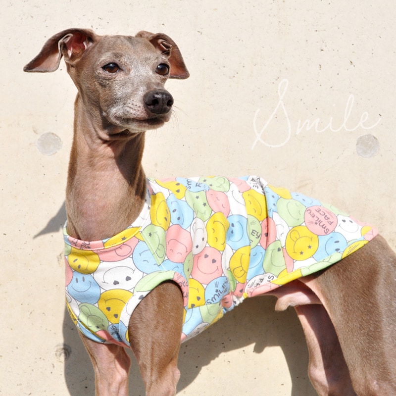 犬服♡ ❤︎BAMBINA❤︎ as know as de wan N ☆LOVEハートPO サイズ2 as know as de