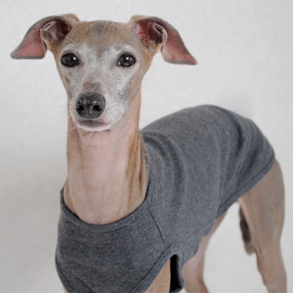 ネイビーリブニットの犬の服 犬服 ネイビー マリンセーラーニット服 | iichi 日々の暮らしを