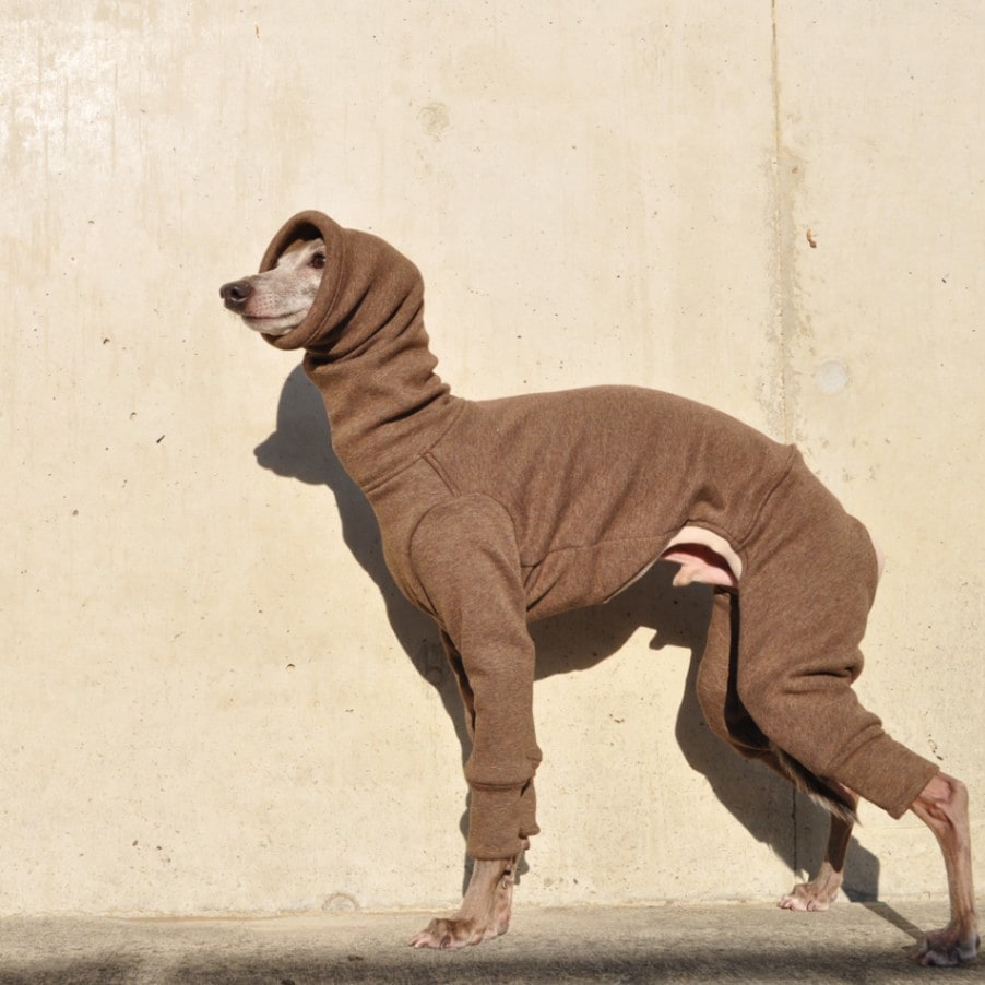 カラー裏毛ニット　犬の服 full of vigor 犬 服 秋 冬 スーパー ミニ裏毛 デイリー つなぎ