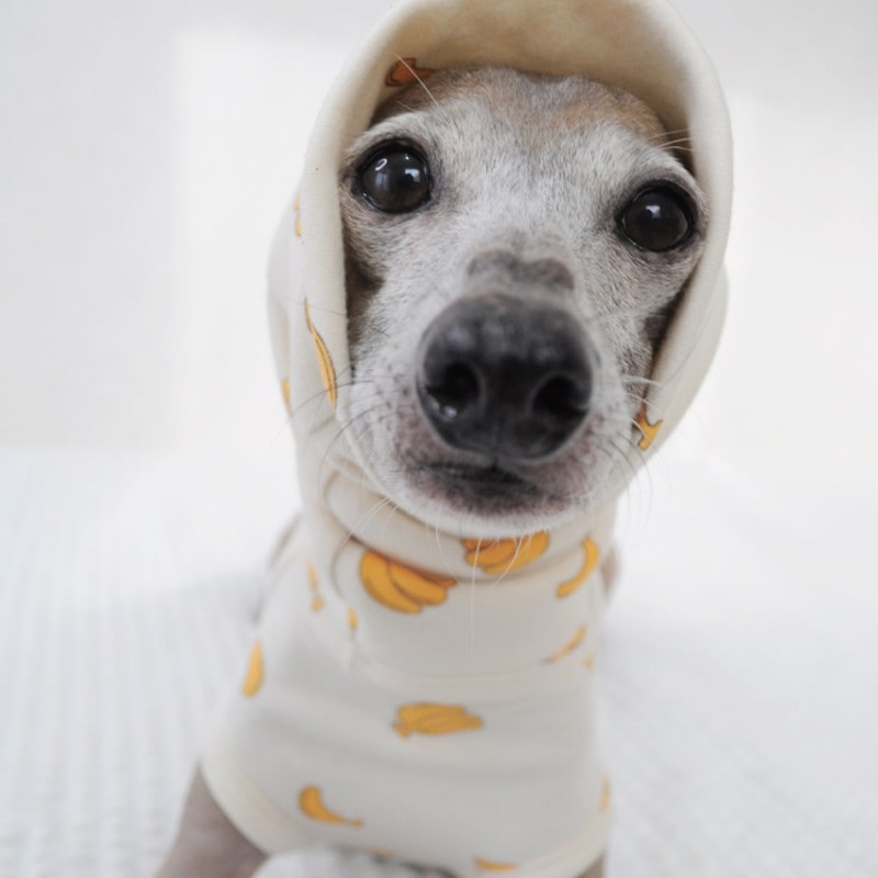 äѤޡù餷åࡼ˥åȡ٤룴סߣ顼ʤФʤʡPremium顼ʤʤ̡