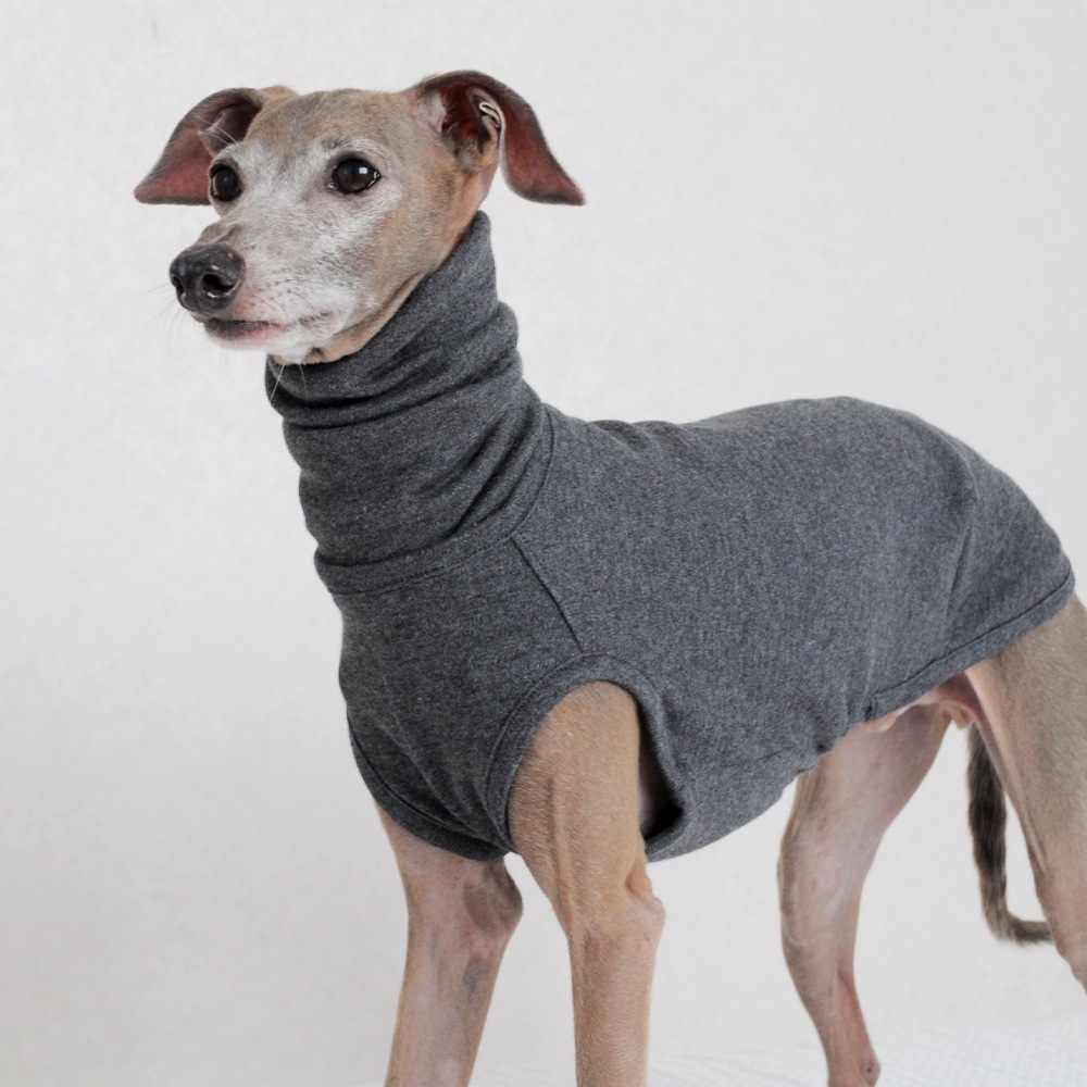 äѤޡåࡼ˥å̵ϡ٤룴סߣ顼ʥͥӡ/ܥɡ/쥤