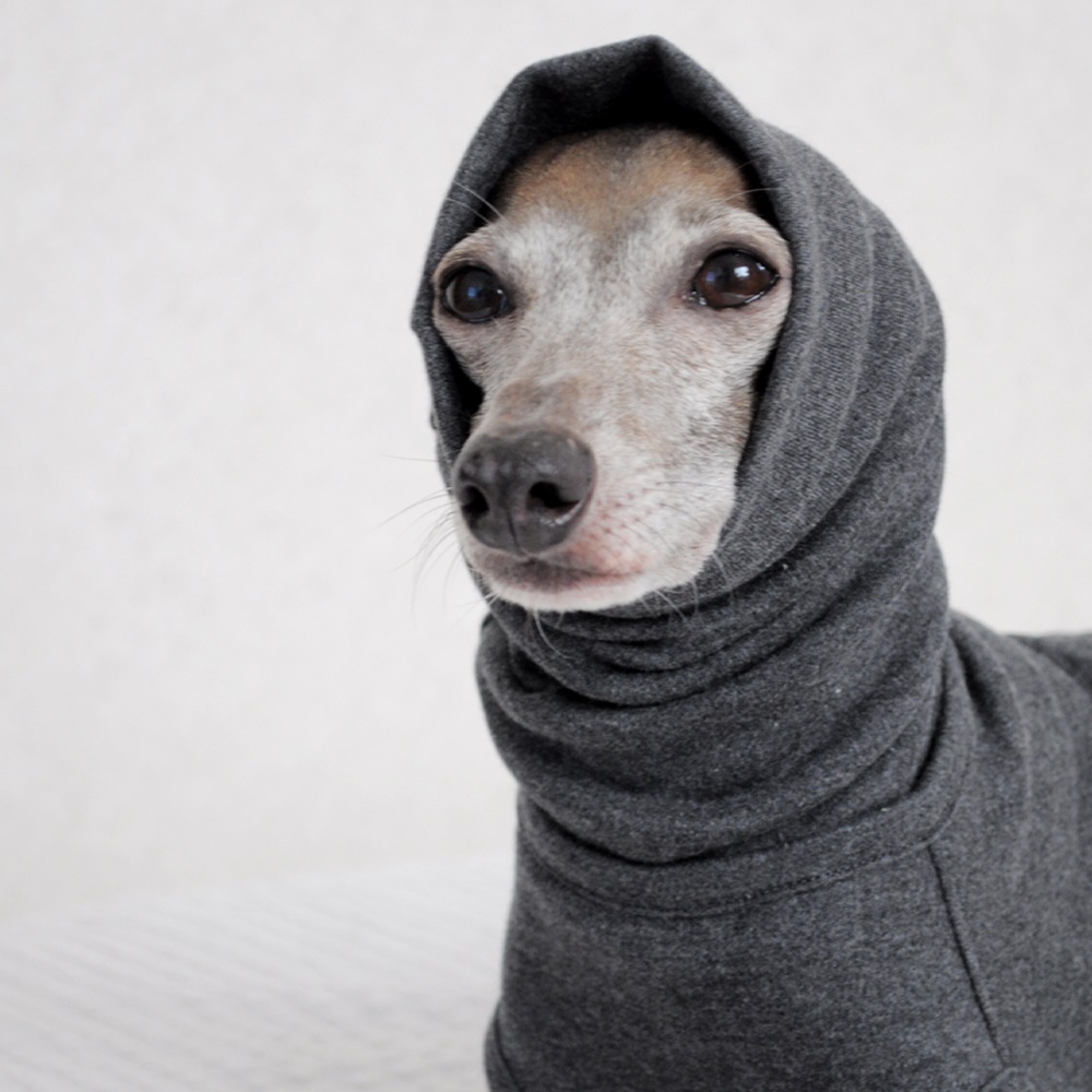 äѤޡåࡼ˥å̵ϡ٤룴סߣ顼ʥͥӡ/ܥɡ/쥤