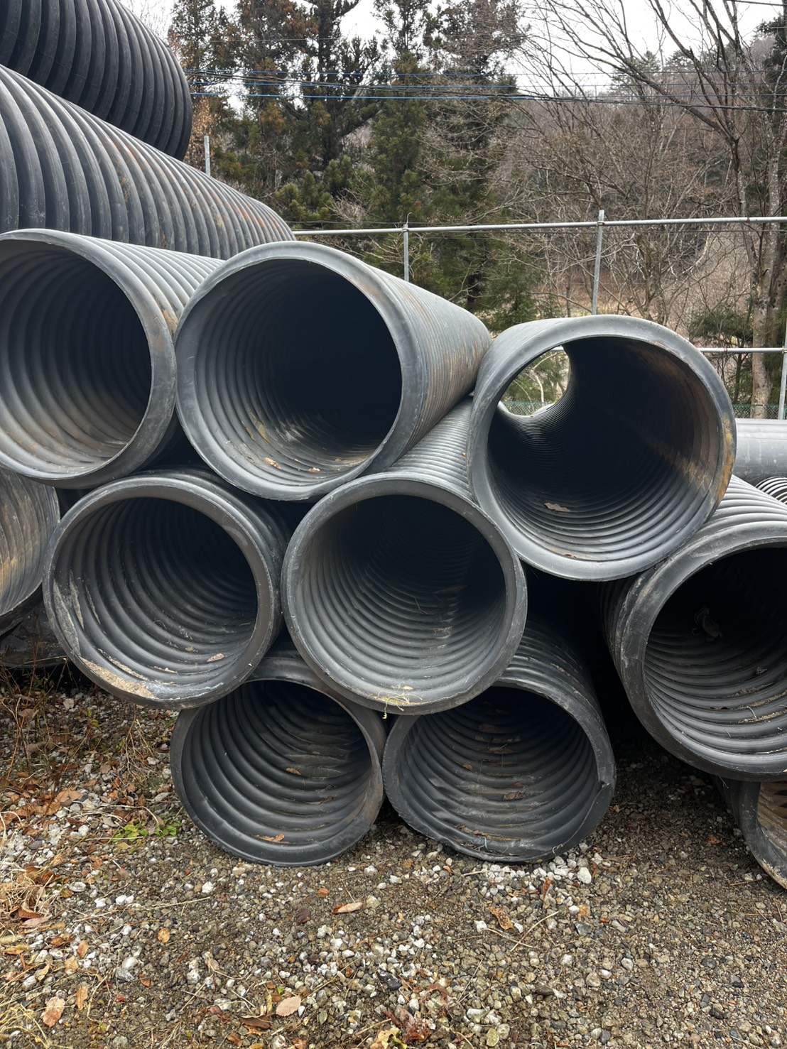 ���륲���ȴɡ���̩�٥ݥꥨ�����ɡ��ŵ��ɡ����󥰥�  ��600-5M