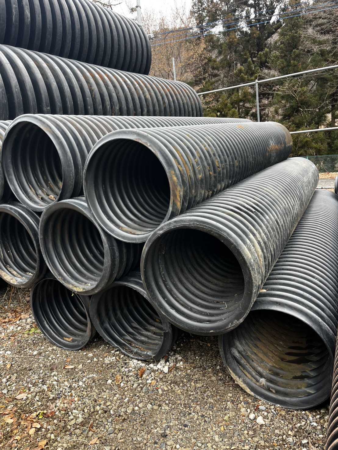 ���륲���ȴɡ���̩�٥ݥꥨ�����ɡ��ŵ��ɡ����󥰥�  ��600-5M