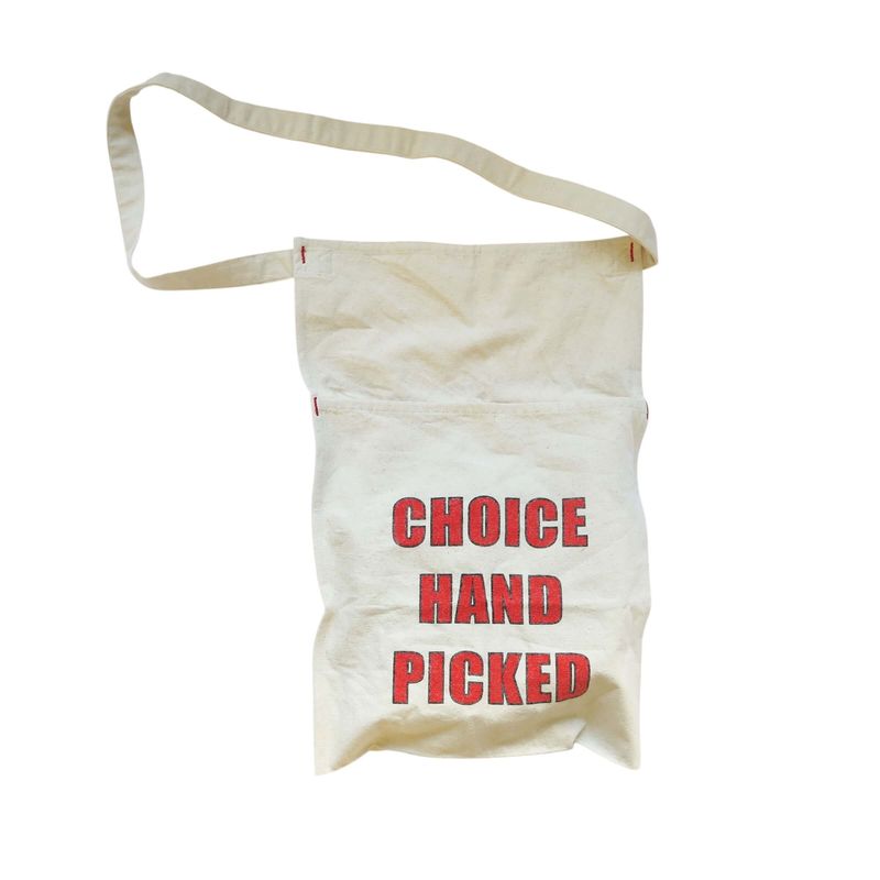 SEEDS SACK-C  CHOICE