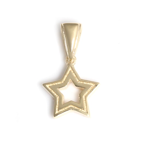 ܹ񥪡SERENDIPITY STAR 10K GOLD