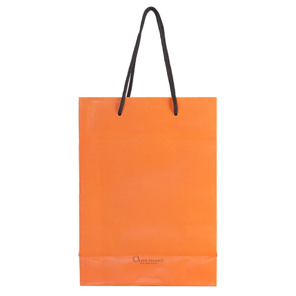 【限定品】 ORDER★ケース&【2006年】パンフレット&紙袋 オリジナル紙袋フルオーダー【038B】片艶クラフト - 紙袋・手提げ袋