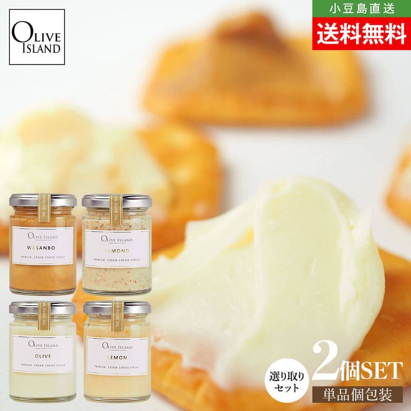 ץߥ ꡼ ץå 2ĥåȡڥ꡼//»/ 110g2ñʸ ̵ PREMIUM CREAM CHEESE SPREAD