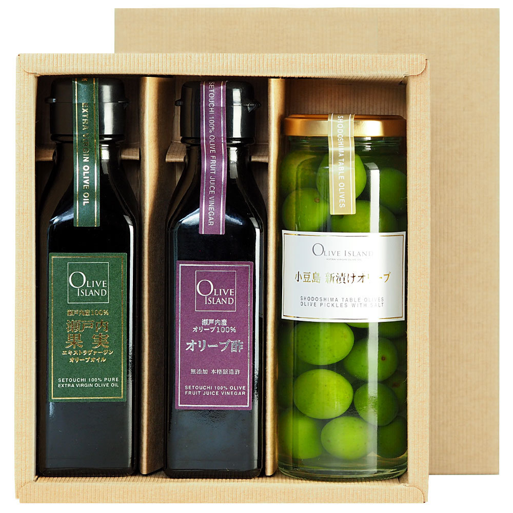 EXV���꡼�֥����륮�ե� ������̼�EXV�����꡼�ֿ� 120ml 2������ �� ���Ҥ����꡼��100g ���եȥ��å� / BOX����