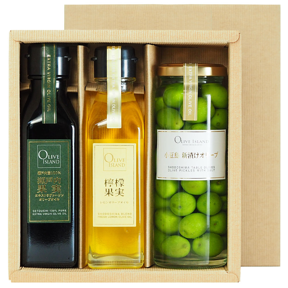 EXV꡼֥륮ե ̼EXVݦݨ̼ 120ml 2  Ҥ꡼100g եȥå / BOX