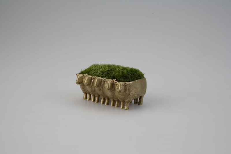 �ҤĤ������ߺ� ǽ�� ���ߺ� �Ⲭ ��� ������� ����ƥꥢ ���� ������ �� �ҥĥ����å� �����ƥ� ��ӥ� ���硼�롼�� ���������꡼  ��ʪ ��ʪ �ߺ� �����衡�� ���꡼�� ������