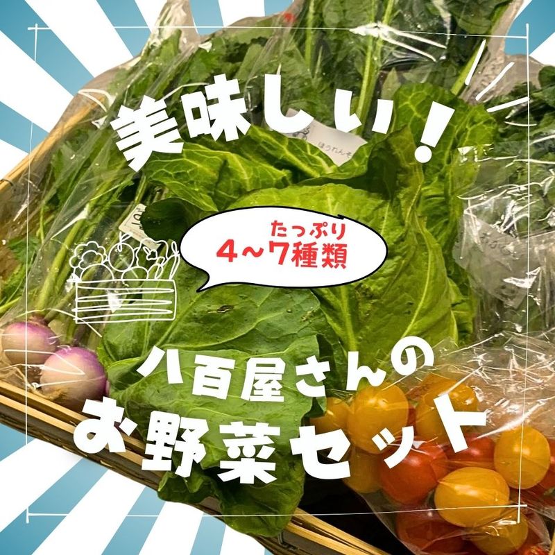 �ڿ��̸���ۿ�����Ȭɴ������Υ��쥯�Ȥ���ڥ��åȡ��䤬���٤���̣�����Ȼפä�����ڤ�����ͤ��碌