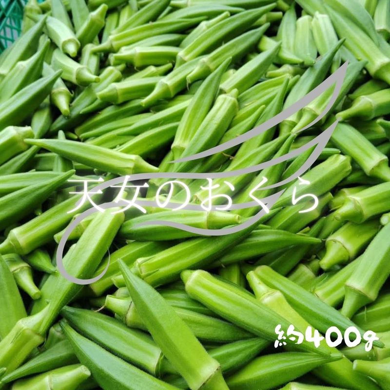 ������դ������ŷ���Υ�����������꿩̣�����ä��ꡣ���츩����ü���饪���������Ȥμ��Ϥ�̣��äƤ���������/��400�礿�äפ�