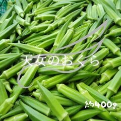 ������դ������ŷ���Υ�����������꿩̣�����ä��ꡣ���츩����ü���饪���������Ȥμ��Ϥ�̣��äƤ���������/��400�礿�äפ�