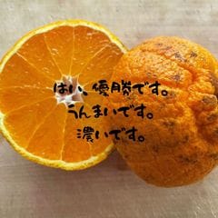 �ڿ��̸���ۿ͵������βС����饭���Τߡ���ȤϺǹ⡪��������²λ��������䤵�����2.5�����Τ����ѤǤ����ڵ��ʳ���