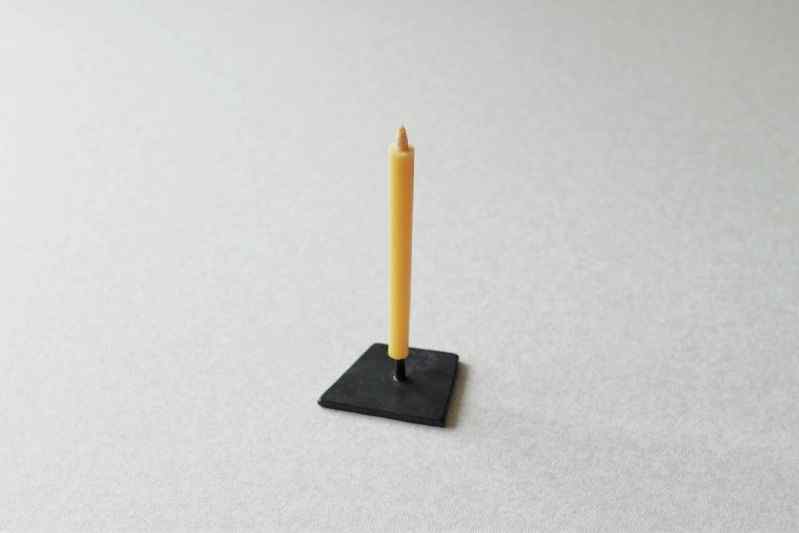 ���� ���ƤΤ������� 1�� 20�� �¤������� ��Ϲ�� �Ƥ̤� ��ʪ ������������ �襬 ���� �������˥å������ɥ� �����ƥʥ֥� ���åץ������� SDGs �¥����