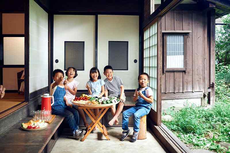 ���Ŀ� �ڤΤ��� KACOMI 8�� 240mm �ץ졼�� 24cm - �����餱 ���� ���� ���� ������� �� �� ��ޯ�� ���襤�� �ǥ��å��� ���å� ��껮 �ѥ�����