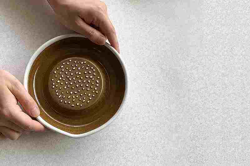 ��Ȥ��� �������� ƫ�� �� 10cm ������ƫ�� ���礦�������ݤ��Ĥ�ʤ� ���Τޤ޿���� ������ ������� ��ޥå�/�� �ޥå� Ȣ�� �纬������ ���ե� �и��� ���� ����������礦�� �蘆�� ������ �� �纬 ���� Made in Japan ���å��� �Ǥ�  Υ���� �л��ˤ� Grater